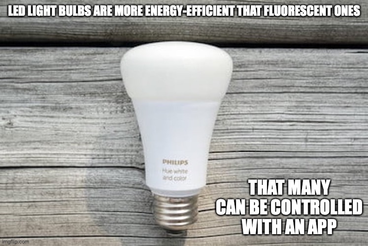 LED Light Bulb | LED LIGHT BULBS ARE MORE ENERGY-EFFICIENT THAT FLUORESCENT ONES; THAT MANY CAN BE CONTROLLED WITH AN APP | image tagged in light bulb,memes | made w/ Imgflip meme maker