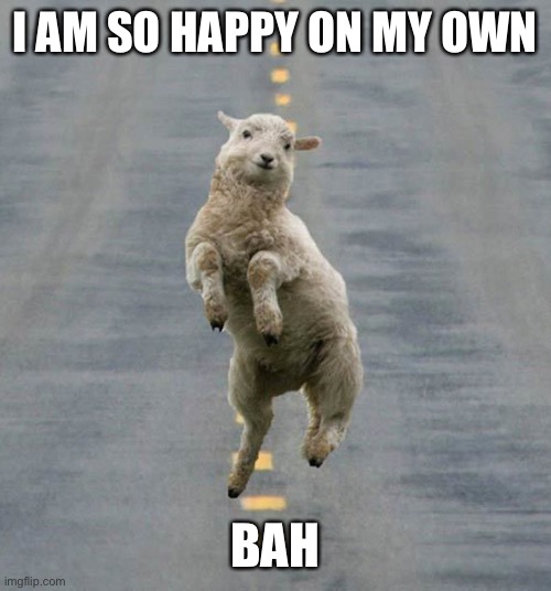 Happy sheep | I AM SO HAPPY ON MY OWN; BAH | image tagged in happy sheep | made w/ Imgflip meme maker