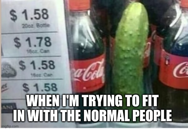 Me IRL | WHEN I'M TRYING TO FIT IN WITH THE NORMAL PEOPLE | image tagged in pickleinsteadofcoke | made w/ Imgflip meme maker