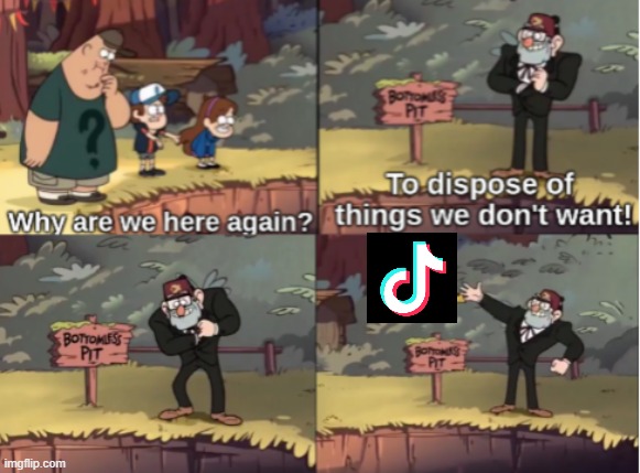 Best Image Title ever | image tagged in gravity falls bottomless pit | made w/ Imgflip meme maker