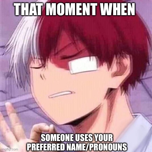 Todoroki | THAT MOMENT WHEN; SOMEONE USES YOUR PREFERRED NAME/PRONOUNS | image tagged in todoroki | made w/ Imgflip meme maker