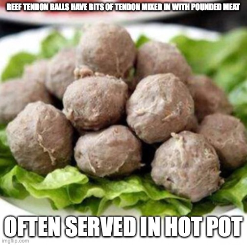 Beef Tendon Balls | BEEF TENDON BALLS HAVE BITS OF TENDON MIXED IN WITH POUNDED MEAT; OFTEN SERVED IN HOT POT | image tagged in food,memes | made w/ Imgflip meme maker