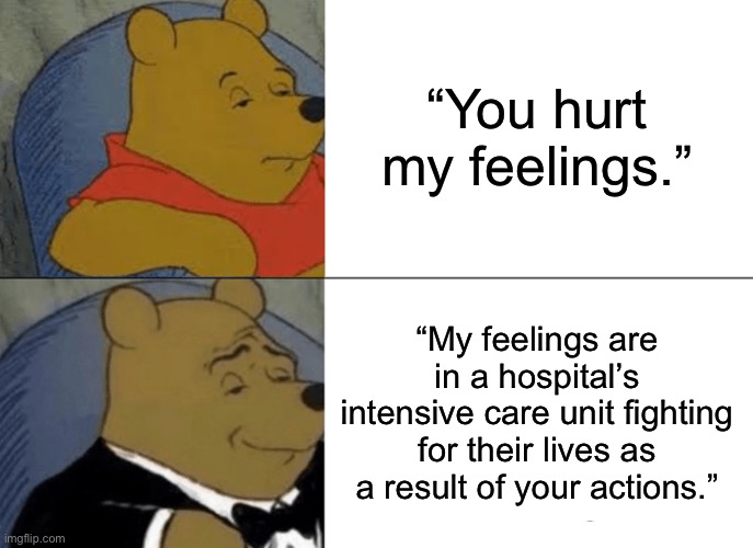 Hyperbole, yes | “You hurt my feelings.”; “My feelings are in a hospital’s intensive care unit fighting for their lives as a result of your actions.” | image tagged in memes,tuxedo winnie the pooh,funny,well yes but actually no,two buttons,drake hotline bling | made w/ Imgflip meme maker