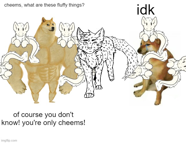 Buff Doge vs. Cheems Meme | cheems, what are these fluffy things? idk; of course you don't know! you're only cheems! | image tagged in memes,buff doge vs cheems | made w/ Imgflip meme maker