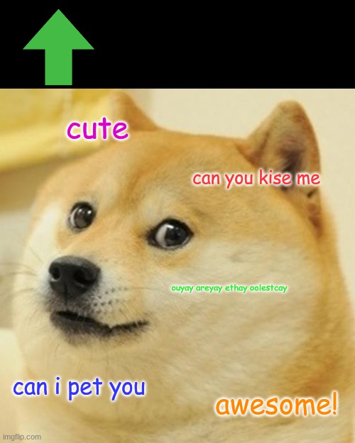 Doge Meme | cute; can you kise me; ouyay areyay ethay oolestcay; can i pet you; awesome! | image tagged in memes,doge,pig latin | made w/ Imgflip meme maker