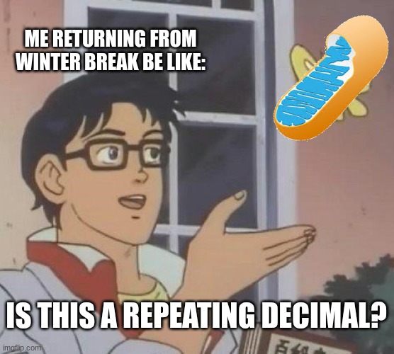 I forgot everything... | ME RETURNING FROM WINTER BREAK BE LIKE:; IS THIS A REPEATING DECIMAL? | image tagged in memes,is this a pigeon | made w/ Imgflip meme maker
