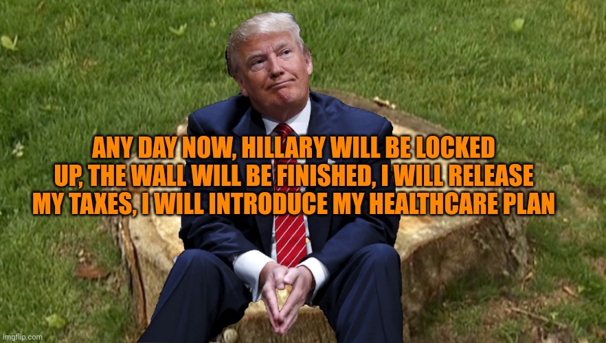 Senile "jenius" | ANY DAY NOW, HILLARY WILL BE LOCKED UP, THE WALL WILL BE FINISHED, I WILL RELEASE MY TAXES, I WILL INTRODUCE MY HEALTHCARE PLAN | image tagged in trump on a stump | made w/ Imgflip meme maker