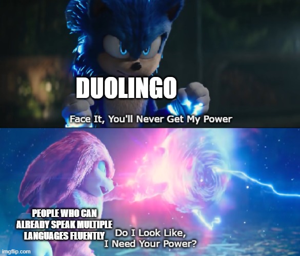 Do I Look Like I Need Your Power Meme | DUOLINGO; PEOPLE WHO CAN ALREADY SPEAK MULTIPLE LANGUAGES FLUENTLY | image tagged in do i look like i need your power meme | made w/ Imgflip meme maker