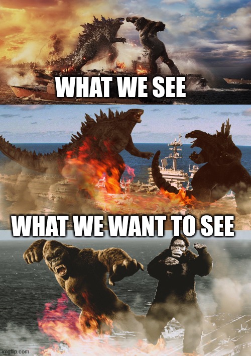 GODZILLA MEMES | WHAT WE SEE; WHAT WE WANT TO SEE | image tagged in godzilla | made w/ Imgflip meme maker