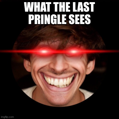 What the last pringle sees | WHAT THE LAST PRINGLE SEES | image tagged in flamingo,albert,sus | made w/ Imgflip meme maker