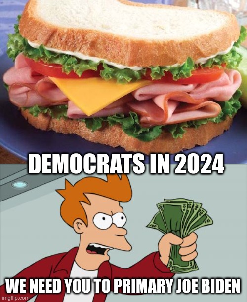 They know joe is a loser | DEMOCRATS IN 2024; WE NEED YOU TO PRIMARY JOE BIDEN | image tagged in sandwich,memes,shut up and take my money fry | made w/ Imgflip meme maker