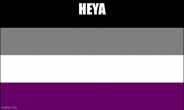 ace flag | HEYA | image tagged in ace flag | made w/ Imgflip meme maker