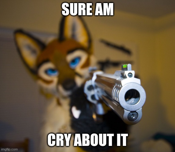 Furry with gun | SURE AM CRY ABOUT IT | image tagged in furry with gun | made w/ Imgflip meme maker