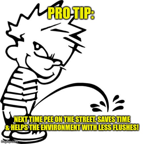 Calvin Peeing | NEXT TIME PEE ON THE STREET. SAVES TIME & HELPS THE ENVIRONMENT WITH LESS FLUSHES! PRO TIP: | image tagged in calvin peeing | made w/ Imgflip meme maker