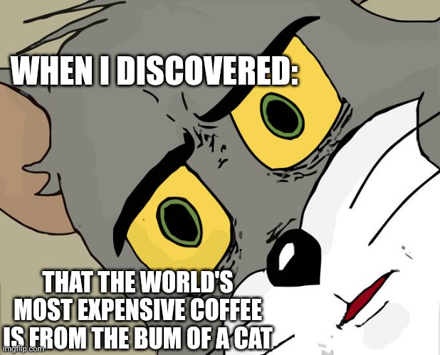 Unsettled Tom | WHEN I DISCOVERED:; THAT THE WORLD'S MOST EXPENSIVE COFFEE IS FROM THE BUM OF A CAT | image tagged in memes,unsettled tom | made w/ Imgflip meme maker
