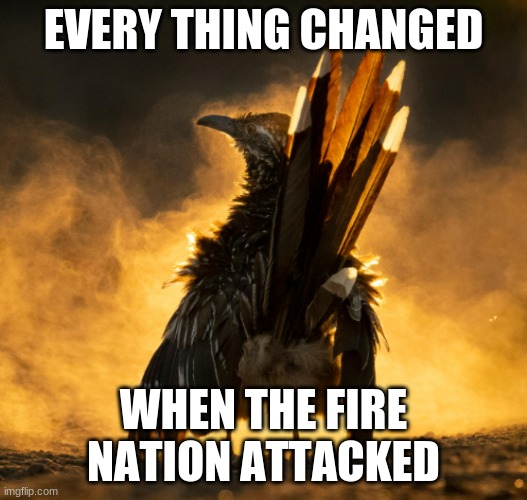 Every thing changed | EVERY THING CHANGED; WHEN THE FIRE NATION ATTACKED | image tagged in birds,anime | made w/ Imgflip meme maker