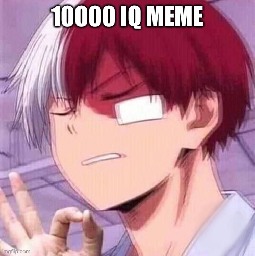 Todoroki | 10000 IQ MEME | image tagged in todoroki | made w/ Imgflip meme maker