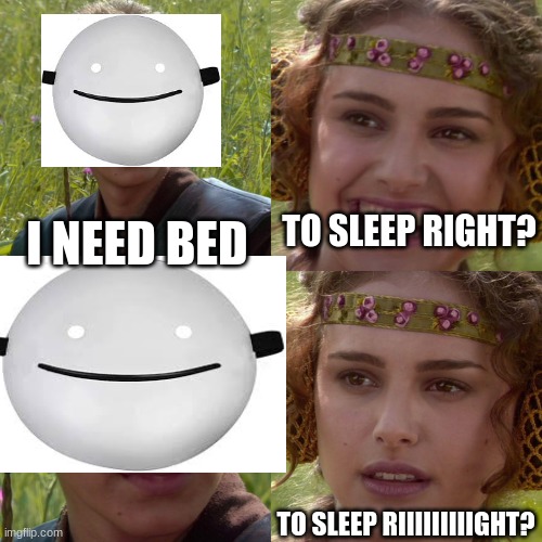 Anakin Padme 4 Panel | TO SLEEP RIGHT? I NEED BED; TO SLEEP RIIIIIIIIIGHT? | image tagged in anakin padme 4 panel | made w/ Imgflip meme maker