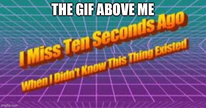 I miss ten seconds ago | THE GIF ABOVE ME | image tagged in i miss ten seconds ago | made w/ Imgflip meme maker