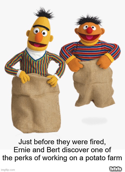Bag Time! | Just before they were fired, Ernie and Bert discover one of the perks of working on a potato farm; YaYaYa | image tagged in ernie and bert | made w/ Imgflip meme maker