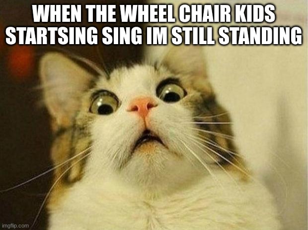 Scared Cat | WHEN THE WHEEL CHAIR KIDS STARTSING SING IM STILL STANDING | image tagged in memes,scared cat | made w/ Imgflip meme maker