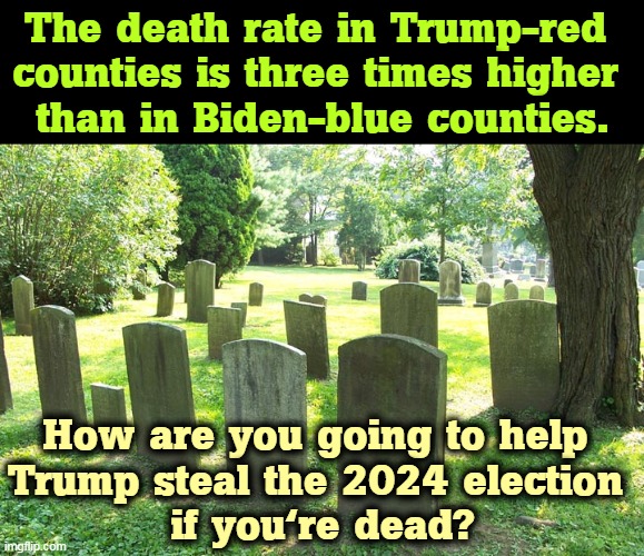 Get the d*mn shots. | The death rate in Trump-red 
counties is three times higher 
than in Biden-blue counties. How are you going to help 
Trump steal the 2024 election 
if you're dead? | image tagged in cemetery,anti vax,dead,covid-19,stupid | made w/ Imgflip meme maker