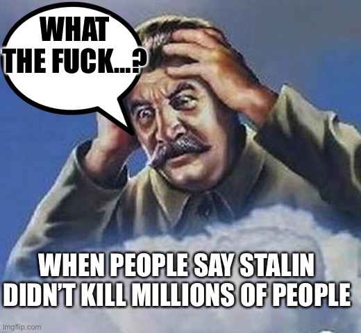 Worrying Stalin | WHAT THE FUCK…? WHEN PEOPLE SAY STALIN DIDN’T KILL MILLIONS OF PEOPLE | image tagged in worrying stalin | made w/ Imgflip meme maker