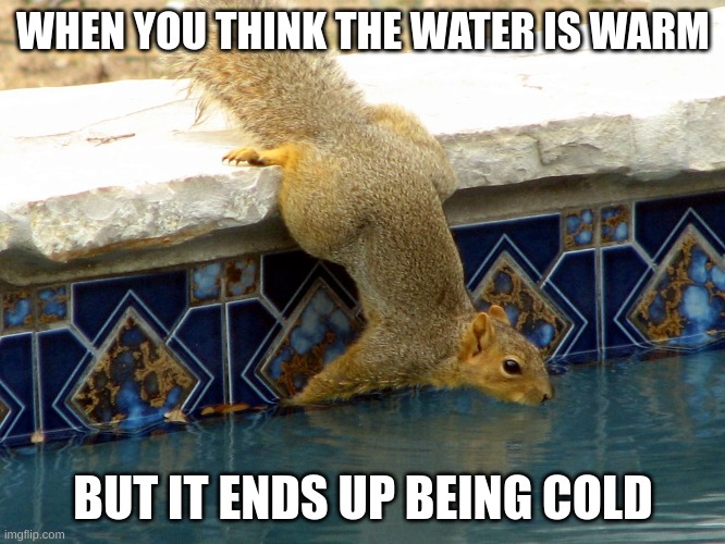 Warm water? | WHEN YOU THINK THE WATER IS WARM; BUT IT ENDS UP BEING COLD | image tagged in lol so funny | made w/ Imgflip meme maker