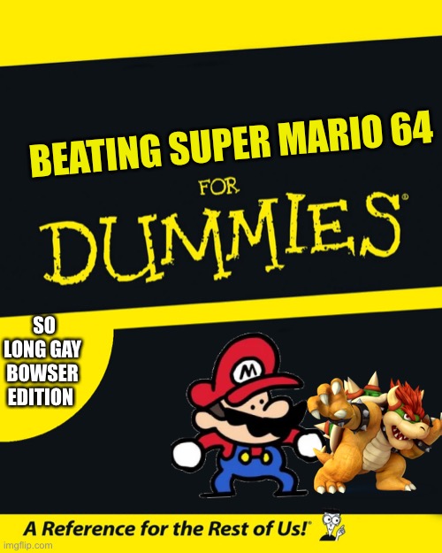 For Dummies | BEATING SUPER MARIO 64; SO LONG GAY BOWSER EDITION | image tagged in for dummies | made w/ Imgflip meme maker