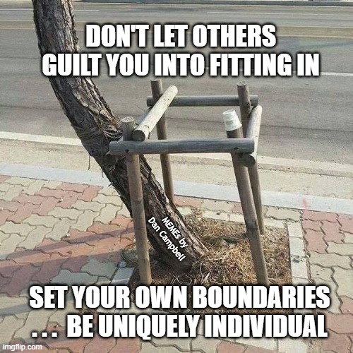 Tree growing outside boundaries | DON'T LET OTHERS GUILT YOU INTO FITTING IN; MEMEs by Dan Campbell; SET YOUR OWN BOUNDARIES . . .  BE UNIQUELY INDIVIDUAL | image tagged in tree growing outside boundaries | made w/ Imgflip meme maker