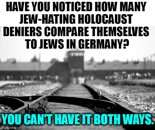 It happened. Not one anti-vaxxer cry-baby earned a part of it. | HAVE YOU NOTICED HOW MANY 

JEW-HATING HOLOCAUST 
DENIERS COMPARE THEMSELVES 
TO JEWS IN GERMANY? YOU CAN'T HAVE IT BOTH WAYS. | image tagged in concentration camp,victim,envy,jews,right wing,crybaby | made w/ Imgflip meme maker