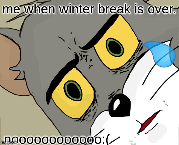 why winter break | me when winter break is over. noooooooooooo:( | image tagged in memes,unsettled tom | made w/ Imgflip meme maker