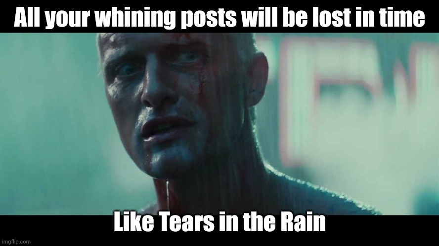 Whining lost in time | All your whining posts will be lost in time; Like Tears in the Rain | image tagged in rutger hauer blade runner tears in the rain,post,blade runner | made w/ Imgflip meme maker