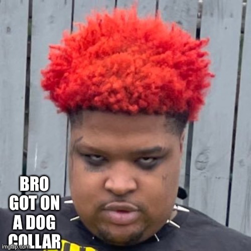 Mario Judah | BRO GOT ON A DOG COLLAR | image tagged in mario judah | made w/ Imgflip meme maker