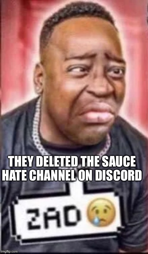 ZAD | THEY DELETED THE SAUCE HATE CHANNEL ON DISCORD | image tagged in zad | made w/ Imgflip meme maker