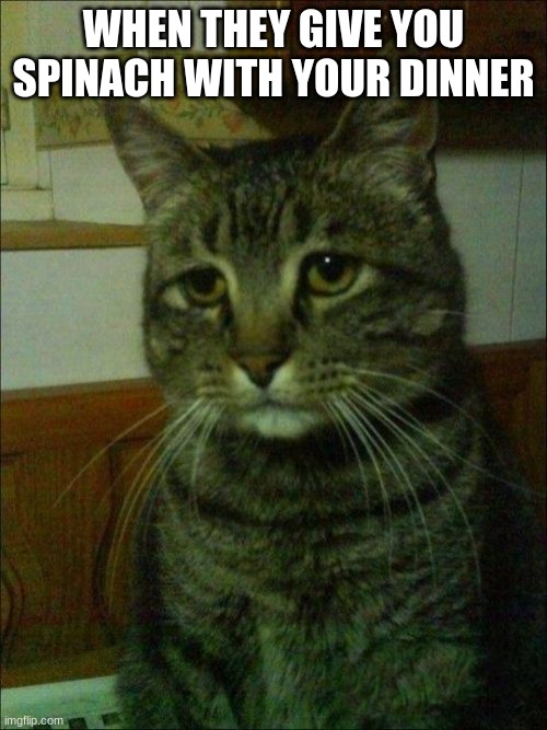 NO NOT THE CURSED LEAF | WHEN THEY GIVE YOU SPINACH WITH YOUR DINNER | image tagged in memes,depressed cat | made w/ Imgflip meme maker