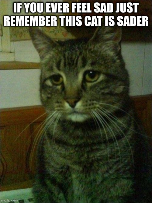 no more sad | IF YOU EVER FEEL SAD JUST REMEMBER THIS CAT IS SADER | image tagged in memes,depressed cat | made w/ Imgflip meme maker