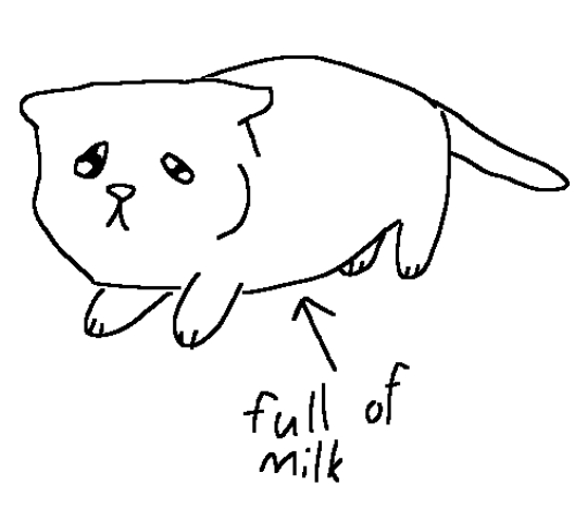 High Quality full of milk cat Blank Meme Template