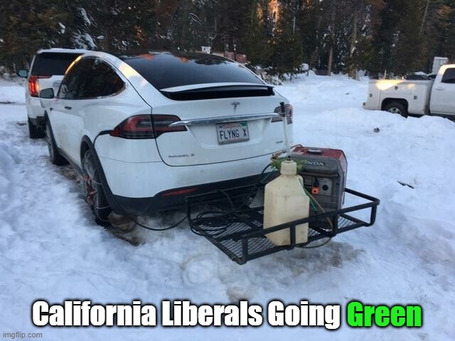 "Hun, let's buy a Fuel-powered Generator for our Tesla!" | California Liberals Going; Green | image tagged in liberal logic,california,tesla,generator,fossil fuel,climate change | made w/ Imgflip meme maker