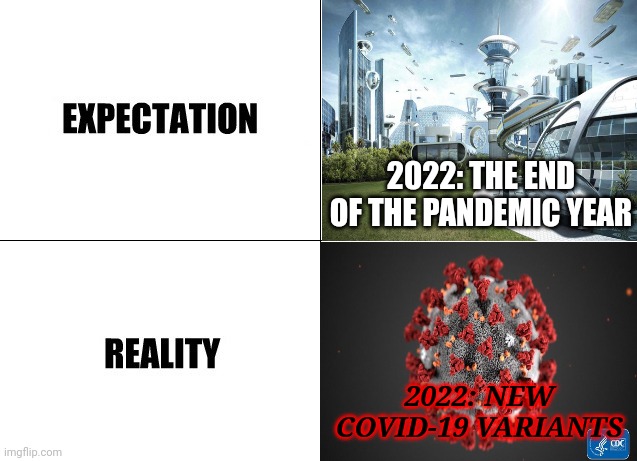 covid |  2022: THE END OF THE PANDEMIC YEAR; 2022: NEW COVID-19 VARIANTS | image tagged in expectation vs reality,covid-19 | made w/ Imgflip meme maker