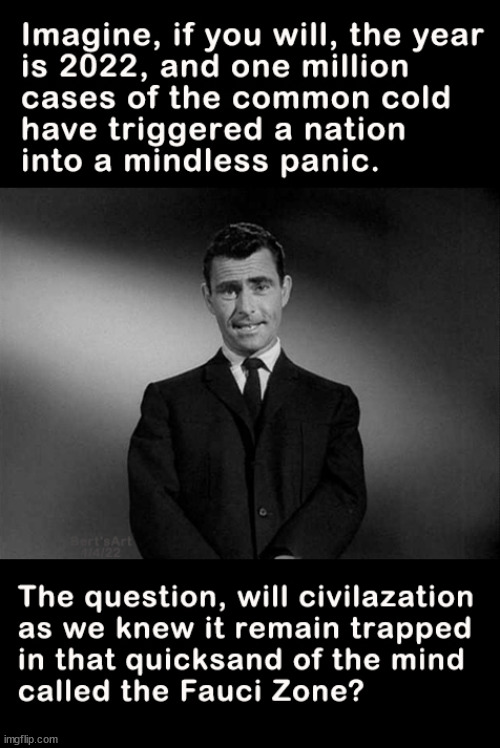 Welcome to the year 2022 where one million cases of the common cold have made the nation mad with panic | image tagged in memes,twilight zone,fauci,panic | made w/ Imgflip meme maker