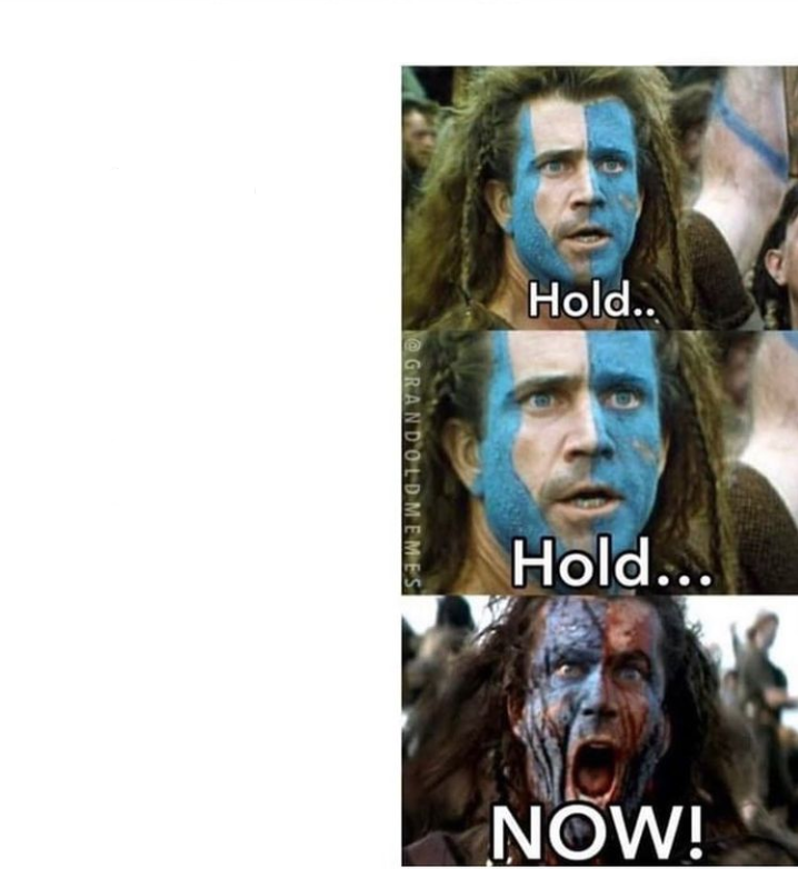 braveheart william wallace hold Blank Meme Template