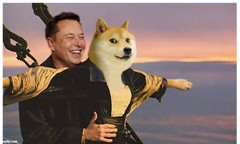 Hold Your Doge | image tagged in hold your doge | made w/ Imgflip meme maker