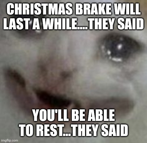 crying cat | CHRISTMAS BRAKE WILL LAST A WHILE....THEY SAID; YOU'LL BE ABLE TO REST...THEY SAID | image tagged in crying cat | made w/ Imgflip meme maker