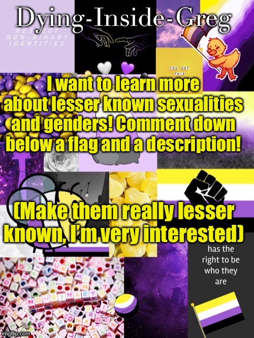 WOOOOO | I want to learn more about lesser known sexualities and genders! Comment down below a flag and a description! (Make them really lesser known, I’m very interested) | image tagged in dying inside greg template | made w/ Imgflip meme maker