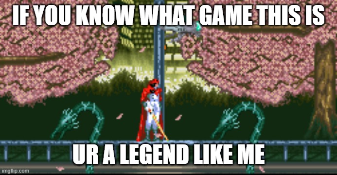 Hint: "Dont. Dont look for me..." | IF YOU KNOW WHAT GAME THIS IS; UR A LEGEND LIKE ME | image tagged in long forgotten games | made w/ Imgflip meme maker