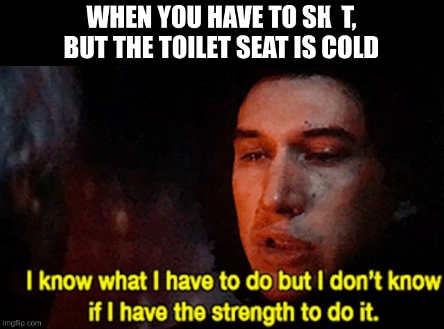 Clever and funny title |  WHEN YOU HAVE TO SHIT, BUT THE TOILET SEAT IS COLD | image tagged in i know what i have to do but i don t know if i have the strength | made w/ Imgflip meme maker