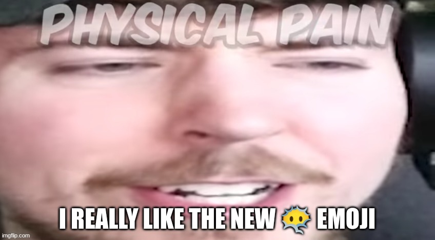 pain. | I REALLY LIKE THE NEW 😶‍🌫️ EMOJI | image tagged in pain | made w/ Imgflip meme maker