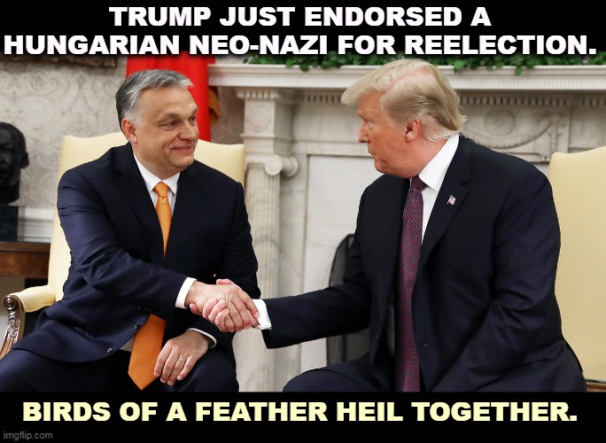 TRUMP JUST ENDORSED A HUNGARIAN NEO-NAZI FOR REELECTION. BIRDS OF A FEATHER HEIL TOGETHER. | image tagged in trump,neo-nazis,friendship,support | made w/ Imgflip meme maker