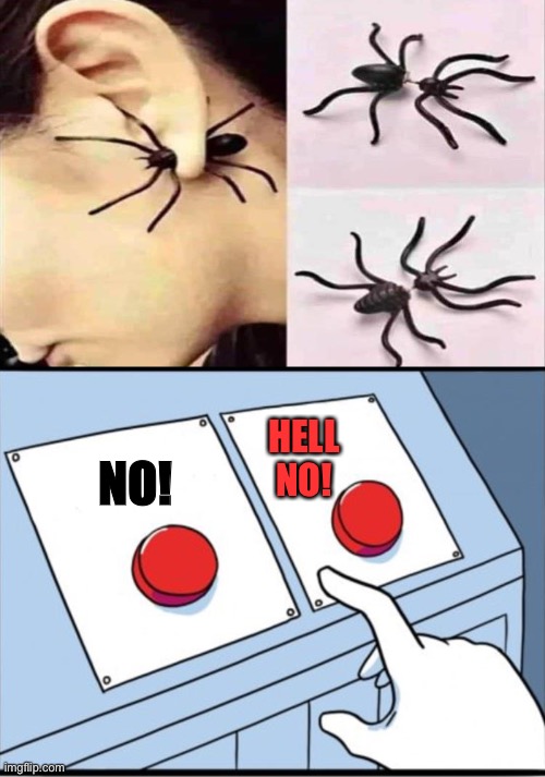 I don’t care if it’s Spiderman approved. | HELL NO! NO! | image tagged in two buttons,spider,memes,funny | made w/ Imgflip meme maker